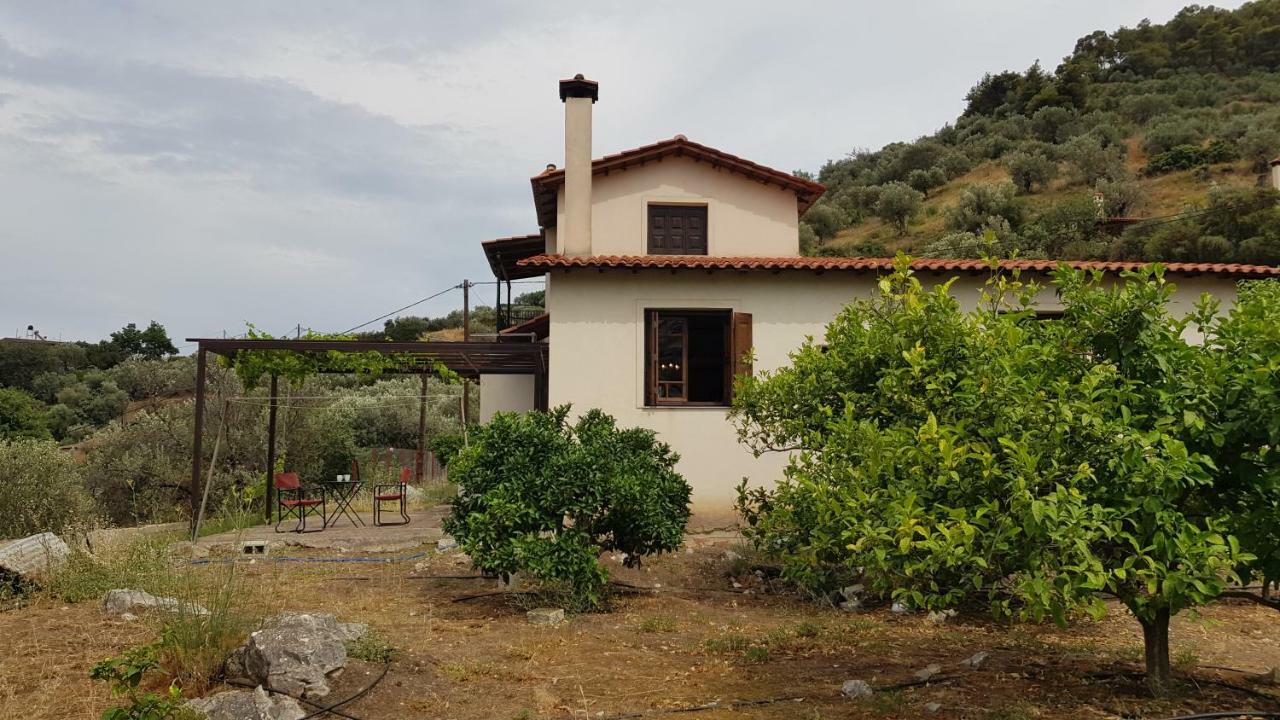 Ample Modern Country Home Νέα Επίδαυρος Εξωτερικό φωτογραφία