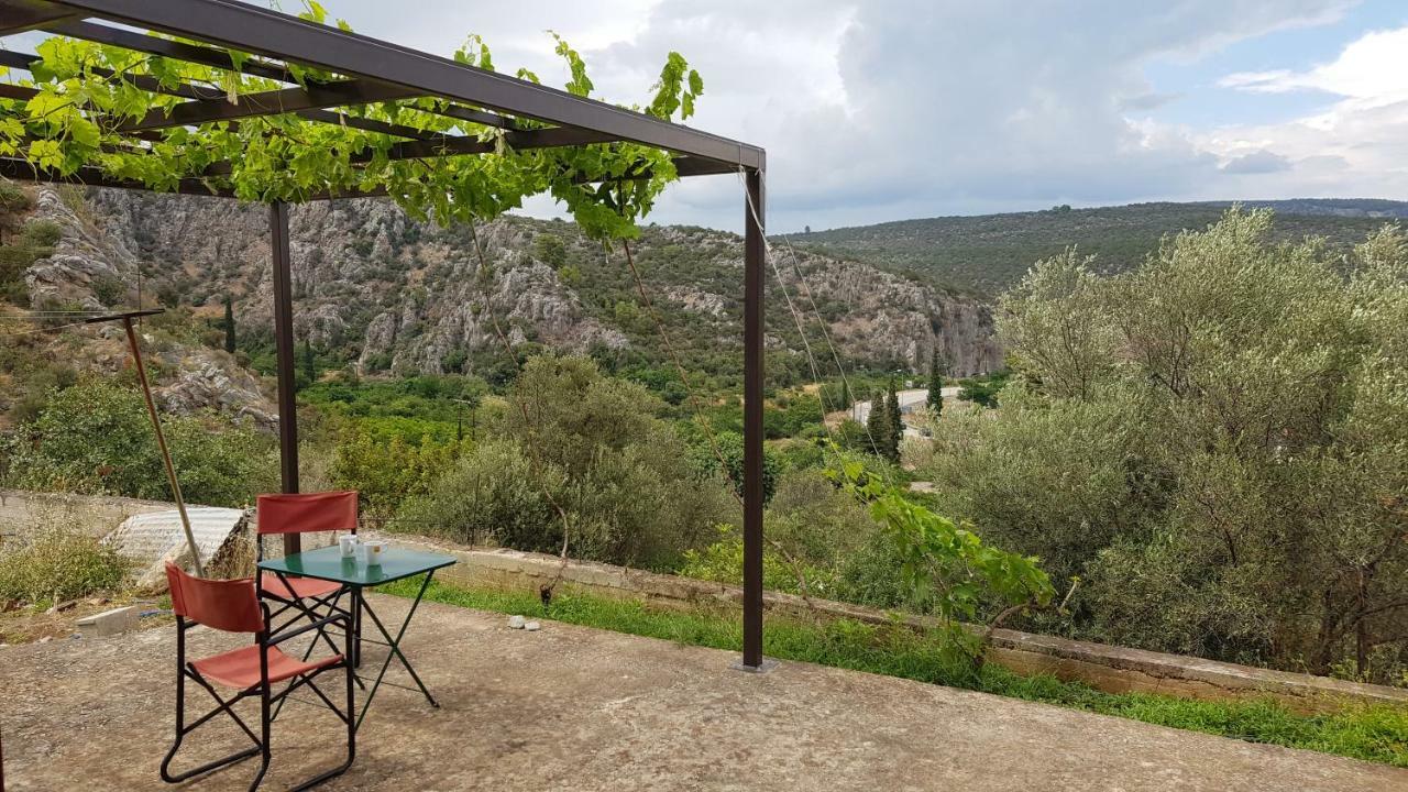 Ample Modern Country Home Νέα Επίδαυρος Εξωτερικό φωτογραφία