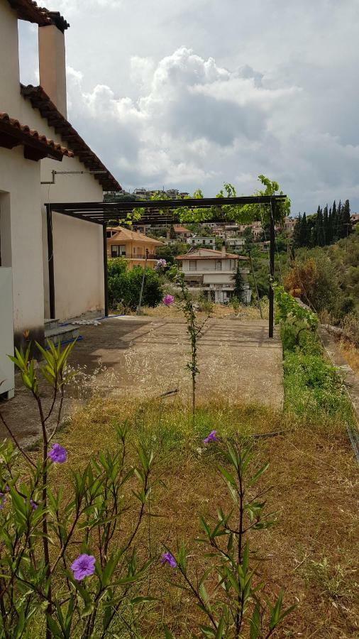 Ample Modern Country Home Νέα Επίδαυρος Εξωτερικό φωτογραφία