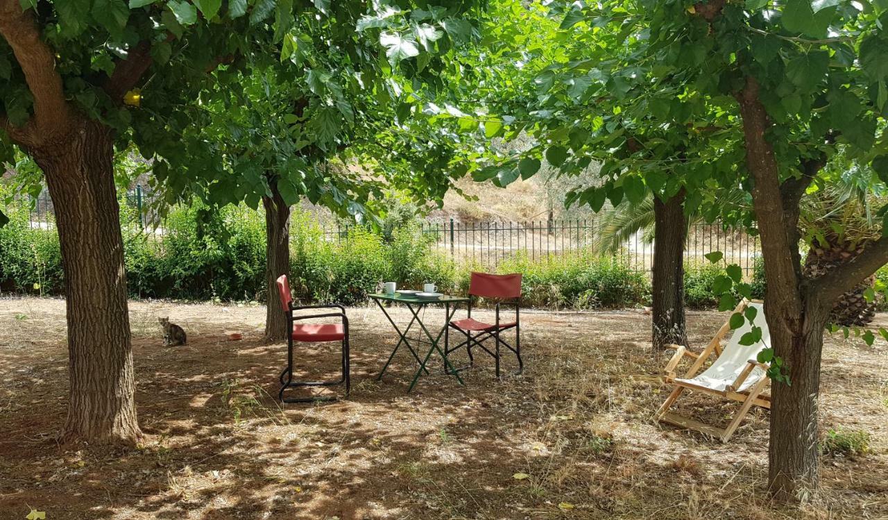 Ample Modern Country Home Νέα Επίδαυρος Εξωτερικό φωτογραφία