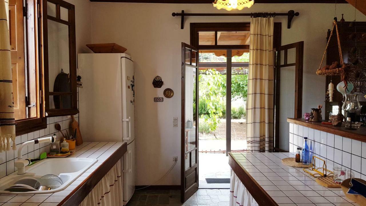 Ample Modern Country Home Νέα Επίδαυρος Εξωτερικό φωτογραφία